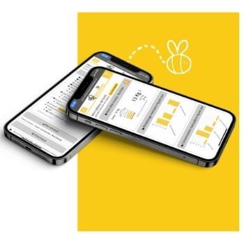 visualiser vos balances connectees pour ruches avec l'application mobile bee2beep