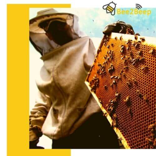 apiculteur connecte avec cadre de ruche dans la main solution bee2beep